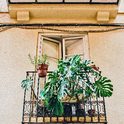 Away from the mold Away from the mold