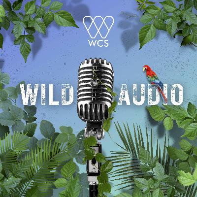S6 E4: This Earth Day, Working to Save the Heart of the Wild