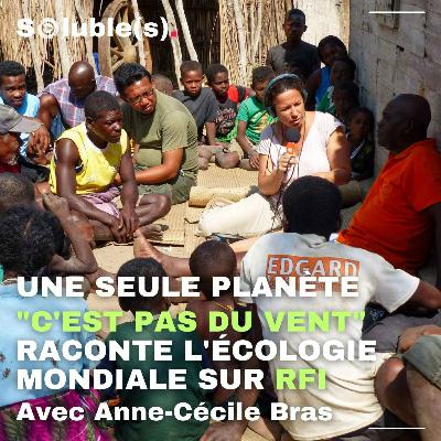 Une seule planète : "C'est pas du vent" raconte l'écologie mondiale sur RFI – Anne-Cécile Bras