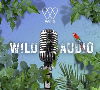 S6 E11: Freedom to Roam | Defending the Guanaco’s Grassland Home