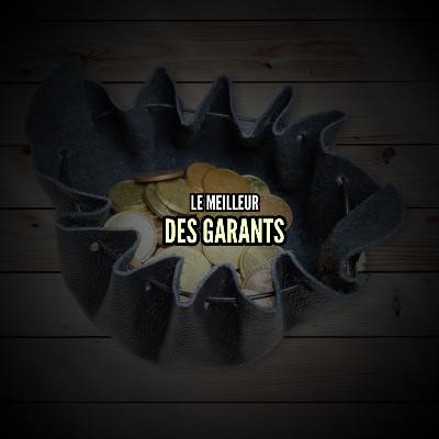 Le meilleur des garants