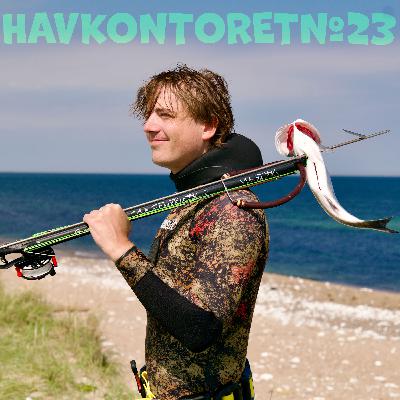 Havkontoret 23 - Michael Engel