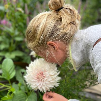 S04E01 - Secret d'histoires : Châteaux d'hier, fleurs vivantes d'aujourd'hui S04E01 - Secret d'histoires : Châteaux d'hier, fleurs vivantes d'aujourd'hui