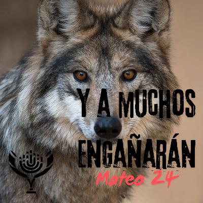 Y a Muchos Engañarán T6 Ep6