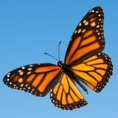 Professional Success & Transformation