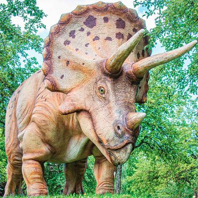 The Heart of 2025 Kindness: Closing Thoughts and Community Stories