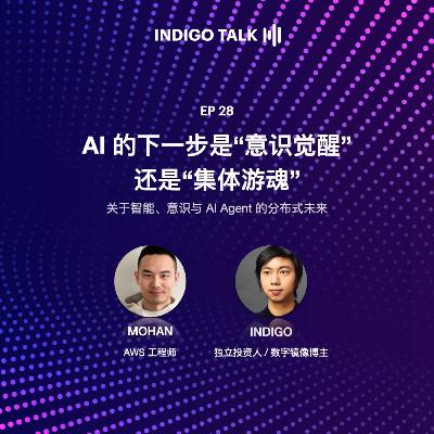 AI 的下一步是“意识觉醒”还是“集体游魂”？/ INDIGO TALK - EP28