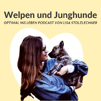 Interview: Mein Leben mit einem Mops