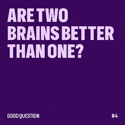 Gemini, are two brains better than one? Gemini, are two brains better than one?