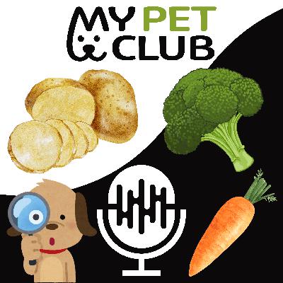Veganer Hund: Revolution oder tödlicher Trend? Veganer Hund: Revolution oder tödlicher Trend?