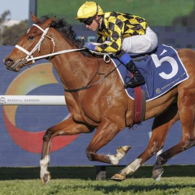 Punter's Preamble - 2025 Epsom Day