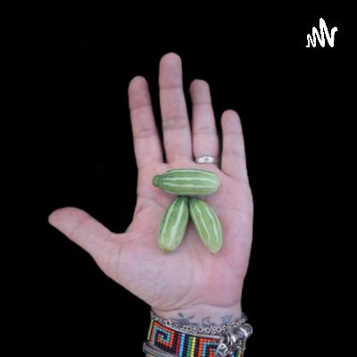 PANC’s da Amazônia  (Trailer)