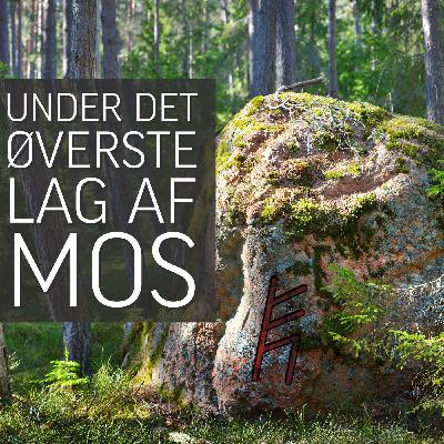 Under det øverste lag af mos