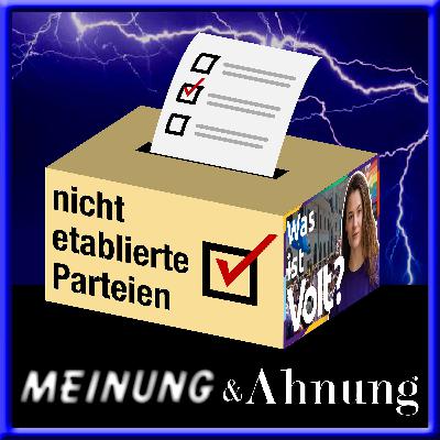 Nicht etablierte Parteien - Volt Deutschland
