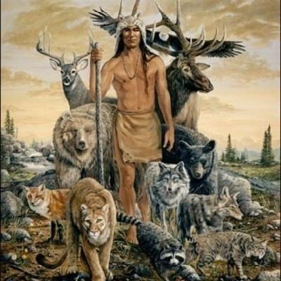 Meditação Xamânica: Qual é o seu Animal de Poder?