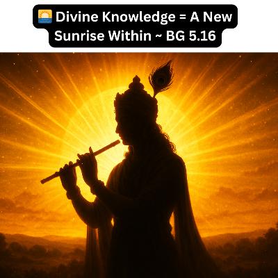 Divine Knowledge: The Inner Sunrise | Bhagavad Gita Chapter 5 Shlok 16 Explained Hindi Divine Knowledge: The Inner Sunrise | Bhagavad Gita Chapter 5 Shlok 16 Explained Hindi