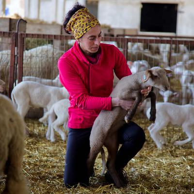 Femení rural Femení rural