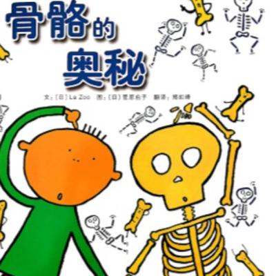 骨骼的奧祕