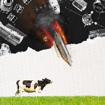 The Astronomical Problem of Space Junk