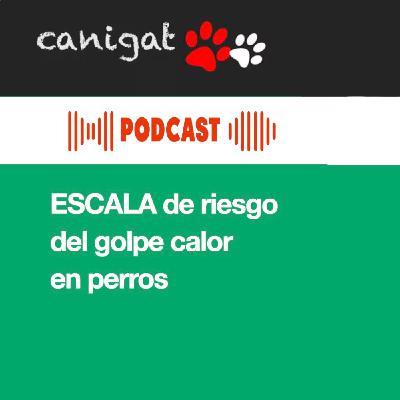 130 - ESCALA de riesgo del golpe calor en perros