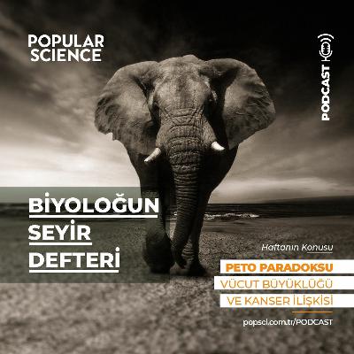 #8 Peto Paradoksu - Biyoloğun Seyir defteri #8 Peto Paradoksu - Biyoloğun Seyir defteri