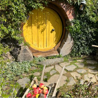 New Zealand Hobbiton Bilbo Baggins’ Dawn Chorus 2023 New Zealand Hobbiton Bilbo Baggins’ Dawn Chorus 2023