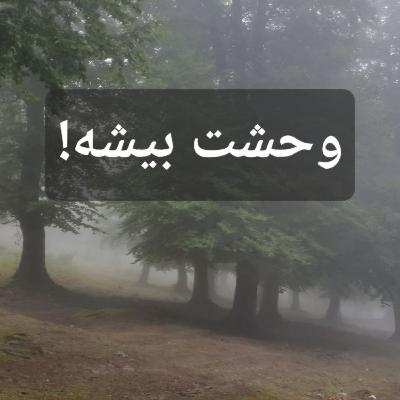 چه کسانی در خانه‌ای خالی به ما خیره می‌شوند؟