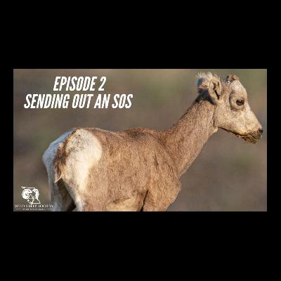 EP 2: Sending Out an SOS, with Kevin Hurley & Chris Barker