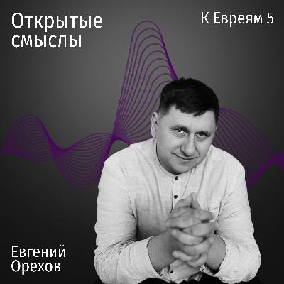 Послание к Евреям 5 глава - Евгений Орехов - ОТКРЫТЫЕ СМЫСЛЫ Послание к Евреям 5 глава - Евгений Орехов - ОТКРЫТЫЕ СМЫСЛЫ
