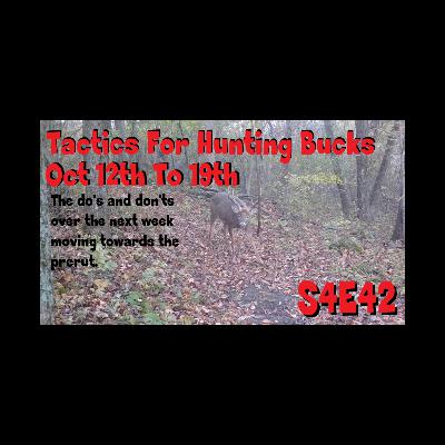 Tactics for hunting bucks oct 12th to oct 19th tips & more the obsession podcast s4e42
