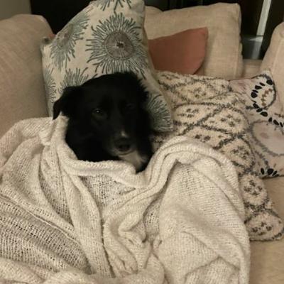 Bölüm 77 - Vişne, Tuz & Domates'le Seks CV’si