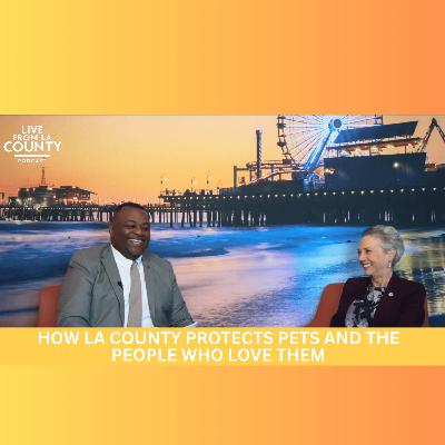 How LA County Protects Pets and the People Who Love Them