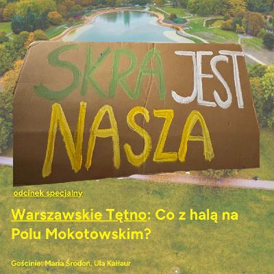 Warszawskie Tętno: Co z halą na Polu Mokotowskim?