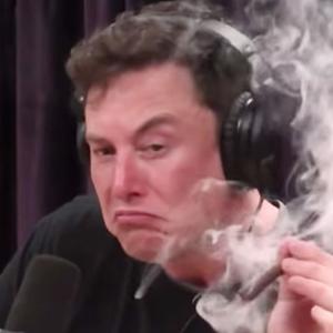 Controversy! The new USMCA deal and Elon Musk tweets like Trump.