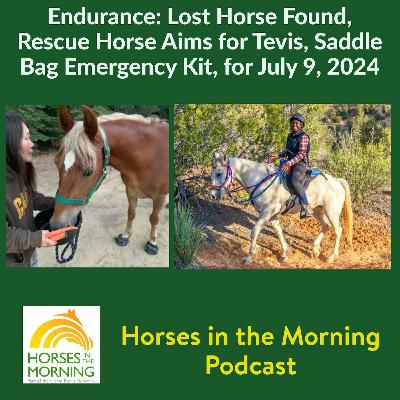 Endurance: Lost Horse Found, Rescue Horse Aims for Tevis, Bandana Tourniquet Saves the Day, for July 9, 2024 - HORSES IN THE MORNING