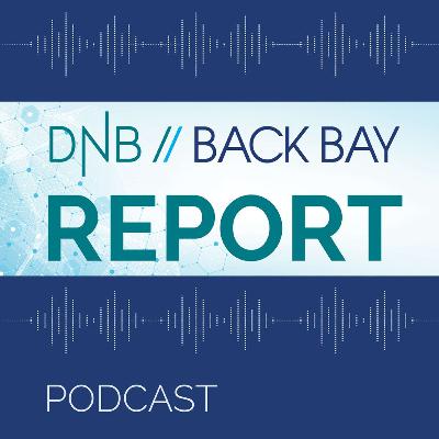 A Capital Markets Outlook for 2025:  2024, A Year in Review