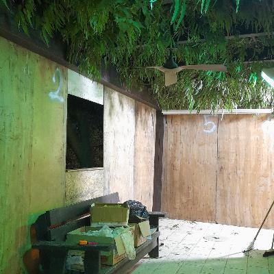 סוכות חג ראשון