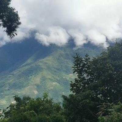 Bolivia - Dschungel Gedanken und sein sinn und Leben :)))