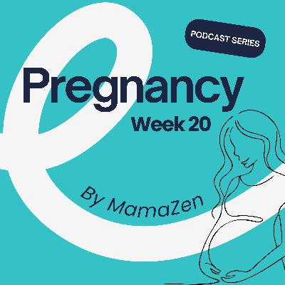 20 Weeks Pregnant: Anatomy Scan, Baby Development, and the Halfway Point