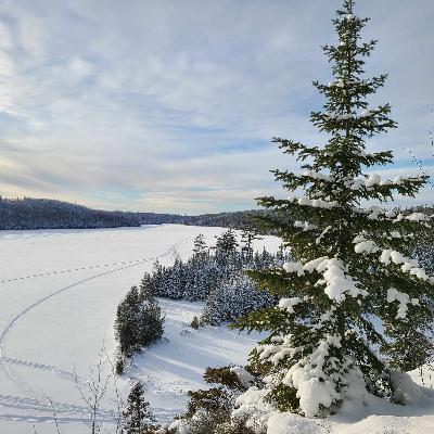Winter Unveiled: December 2023 Statistics & Outlook For Remainder of 2024