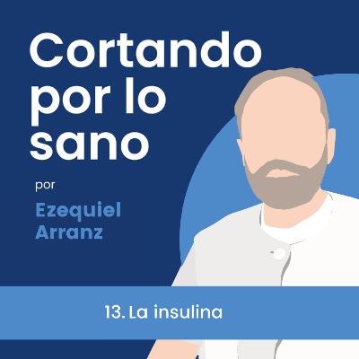 13. Insulina