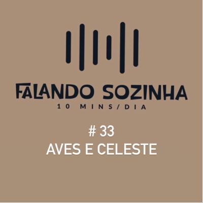 #33 Aves e celeste