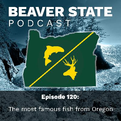 Beaver State Podcast: The most-famous fish from Oregon