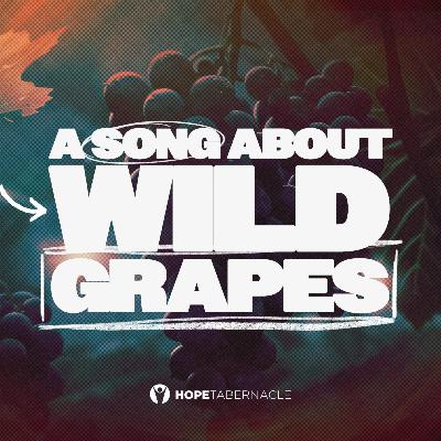 A Song About Wild Grapes A Song About Wild Grapes