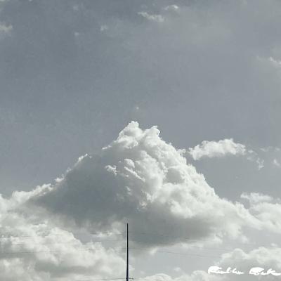 A man shall not be established by wickedness: but the root of the righteous shall not be moved.