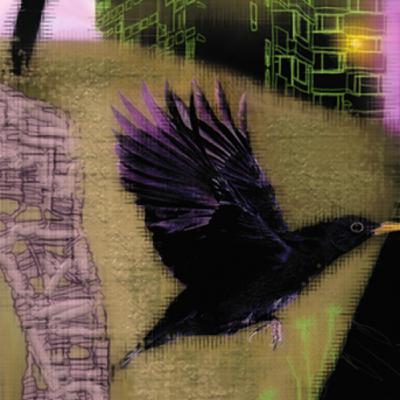 Episode 3- Summer Eclipse Special Episode 3- Summer Eclipse Special