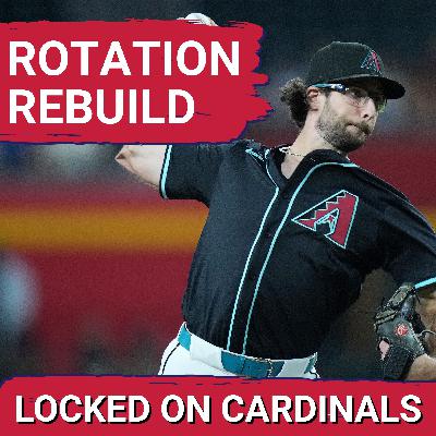 Which FREE AGENT Starting Pitchers Will The St. Louis Cardinals TARGET?