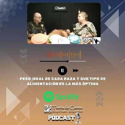 Peso ideal de cada raza y que tipo de alimentación es la más óptima