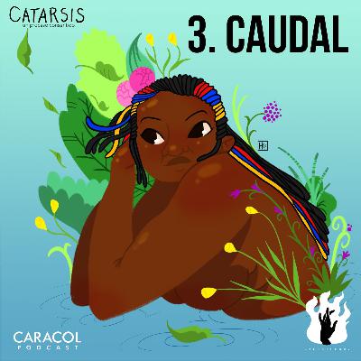 3. Caudal