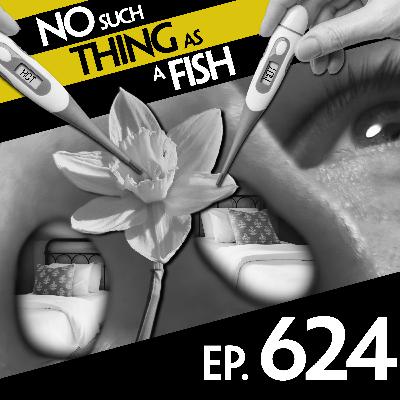 No Such Thing As A Hedgehog In A Lifeboat